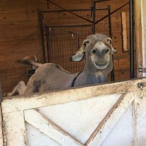 Meet your Posher, Bernadette